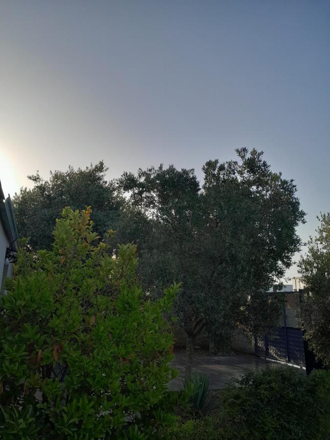 Garden Beach House Hamallaj Экстерьер фото